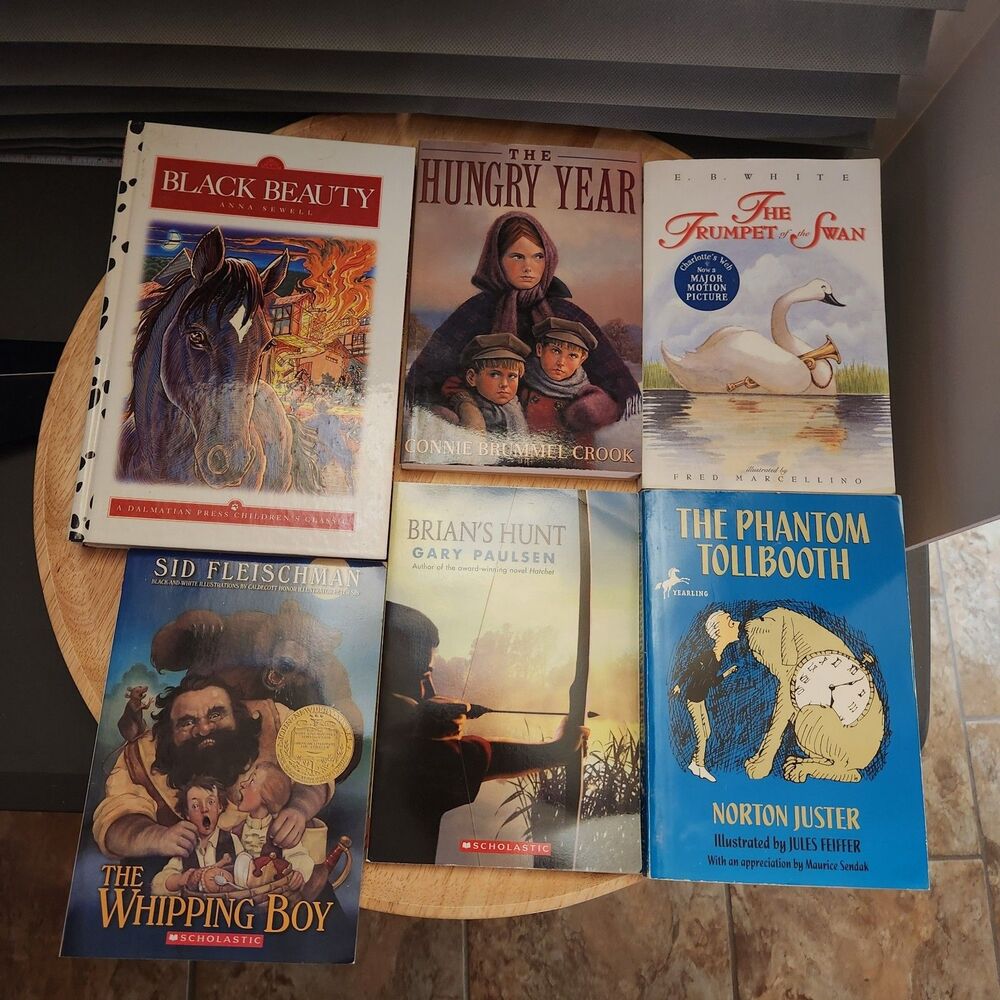 Kids Junior Chapter Book Lot of 6 Classic Children’s Book Bundle